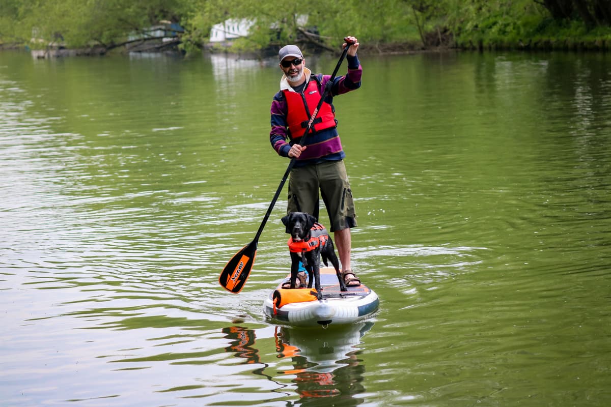 Doggy-paddling